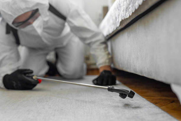 Professional Termite Control technician working in Rutherford, PA