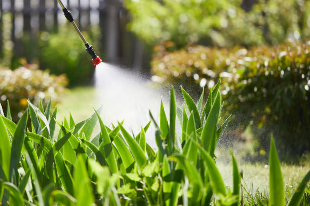 24/7 Emergency Termite Control experts in Rutherford, PA